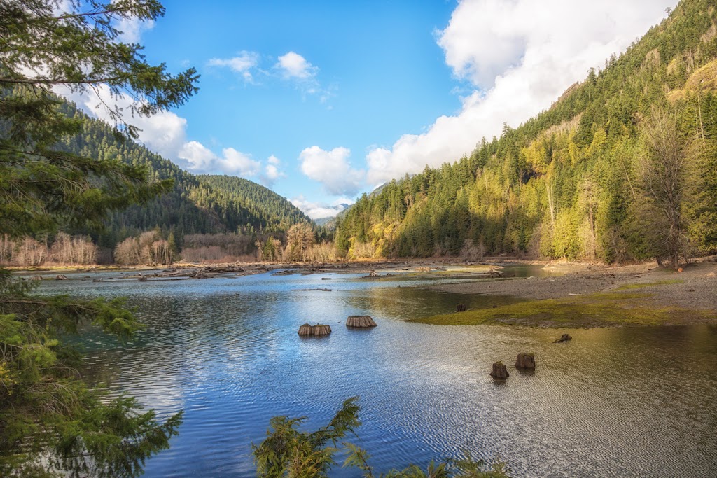 Olympic Peninsula Gateway Visitors Center | 93 Beaver Valley Rd, Port Ludlow, WA 98365, USA | Phone: (360) 437-0120