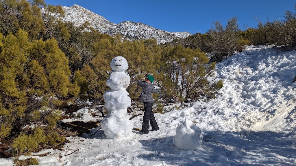 Spitler Peak Trail 3E22 | Spliter Peak Trail, Mountain Center, CA 92561, USA | Phone: (909) 382-2921