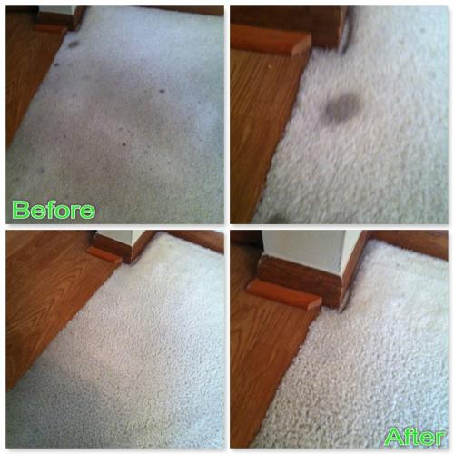 Pure Green Cleaning | 24480 Taft Rd, Novi, MI 48375, USA | Phone: (248) 982-2455