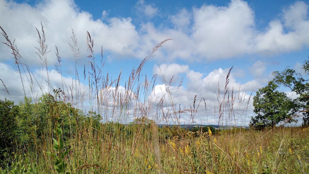 Muralt Bluff Prairie State Natural Area | Monticello, WI 53570 | Phone: (608) 266-0394