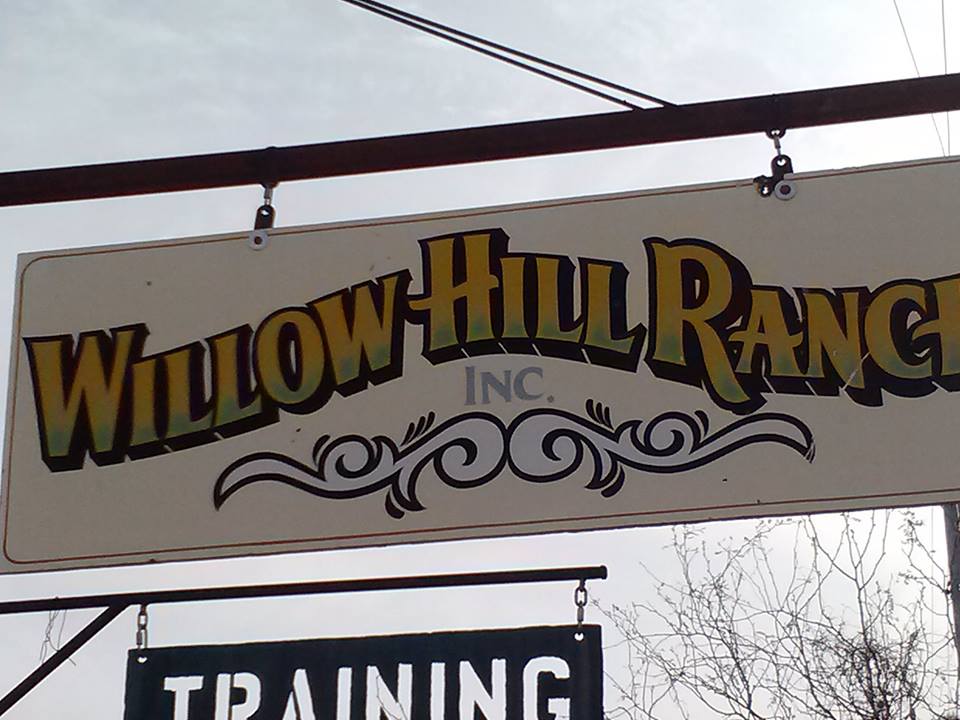 Willow Hill Ranch | 50601 N 35th Ave, New River, AZ 85087, USA | Phone: (602) 882-3261