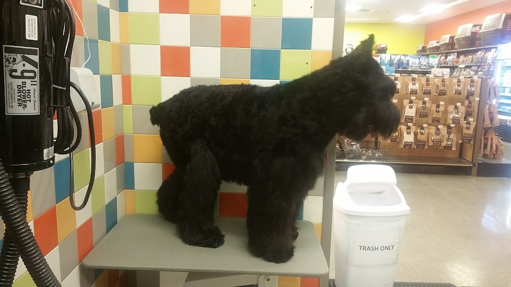 Petco Vaccination Clinic | 1572 Foothill Blvd, La Verne, CA 91750, USA | Phone: (909) 450-2190