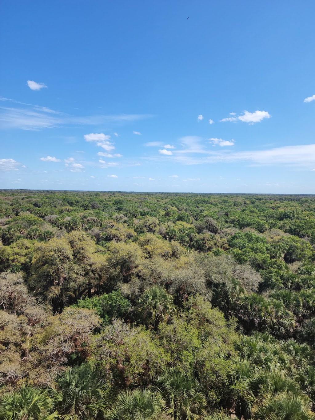 Myakka Canopy Walkway and Observation Tower | Sarasota, FL 34241, USA | Phone: (941) 361-6511