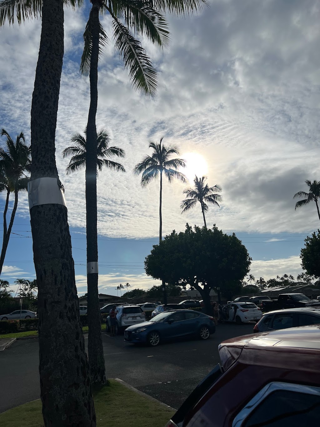 Leonards Bakery Malasada Truck | 7190 Kalanianaʻole Hwy, Honolulu, HI 96825, USA | Phone: (808) 737-5591