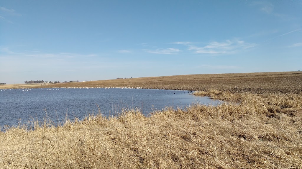 Madison Audubons Goose Pond Sanctuary | Goose Pond Rd, Arlington, WI 53911, USA | Phone: (608) 255-2473