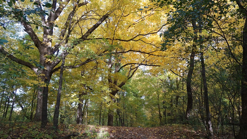 Lake Minnetonka Regional Park | 4610 County Rd 44, Minnetrista, MN 55364, USA | Phone: (763) 694-7754