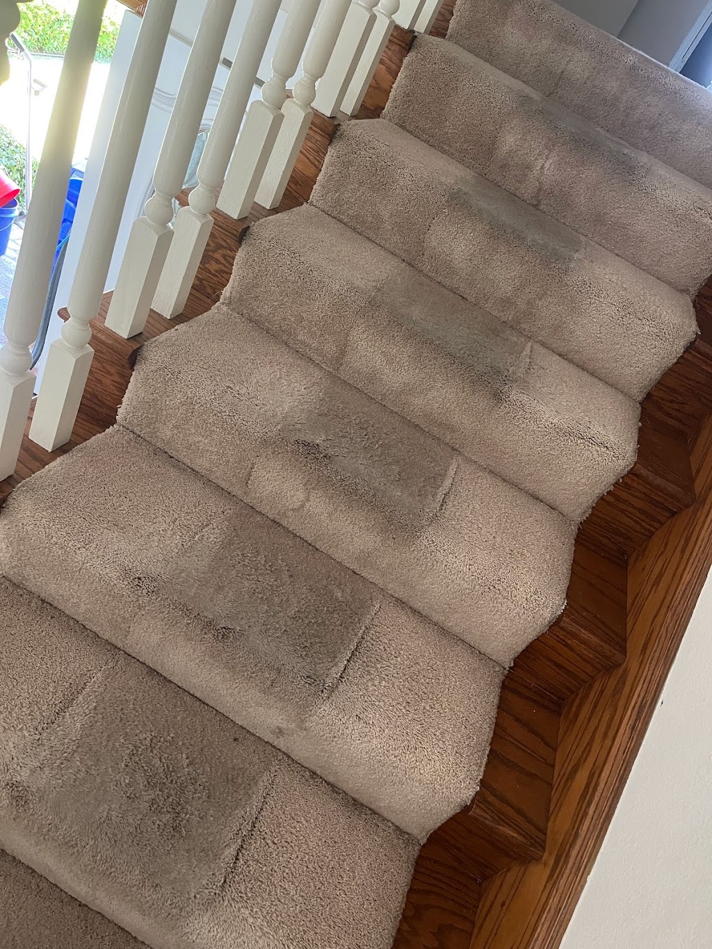 Zest Carpet Cleaning | 2818 Honolulu Ave, Verdugo City, CA 91046, USA | Phone: (818) 590-9440