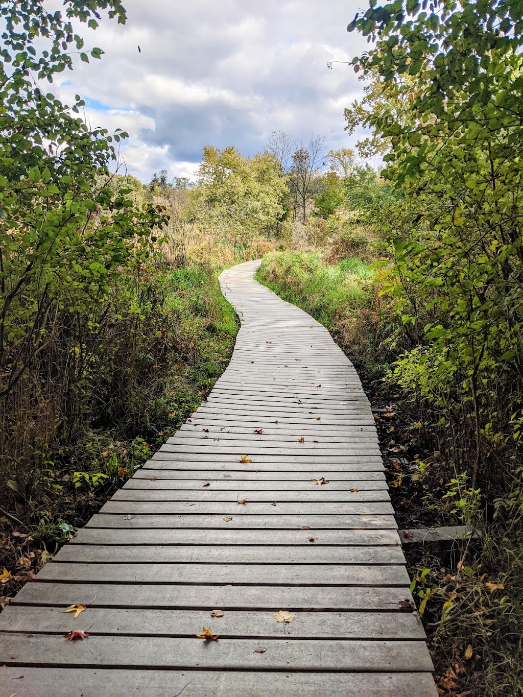 Silver Lake Nature Center | 1306 Bath Rd, Bristol, PA 19007 | Phone: (215) 785-1177