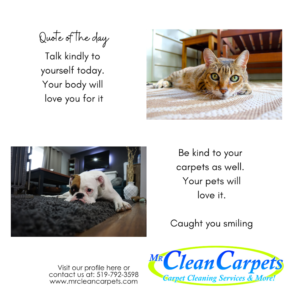 Mr CleanCarpets | 370 Fryer St, Amherstburg, ON N9V 2L9, Canada | Phone: (519) 792-3598