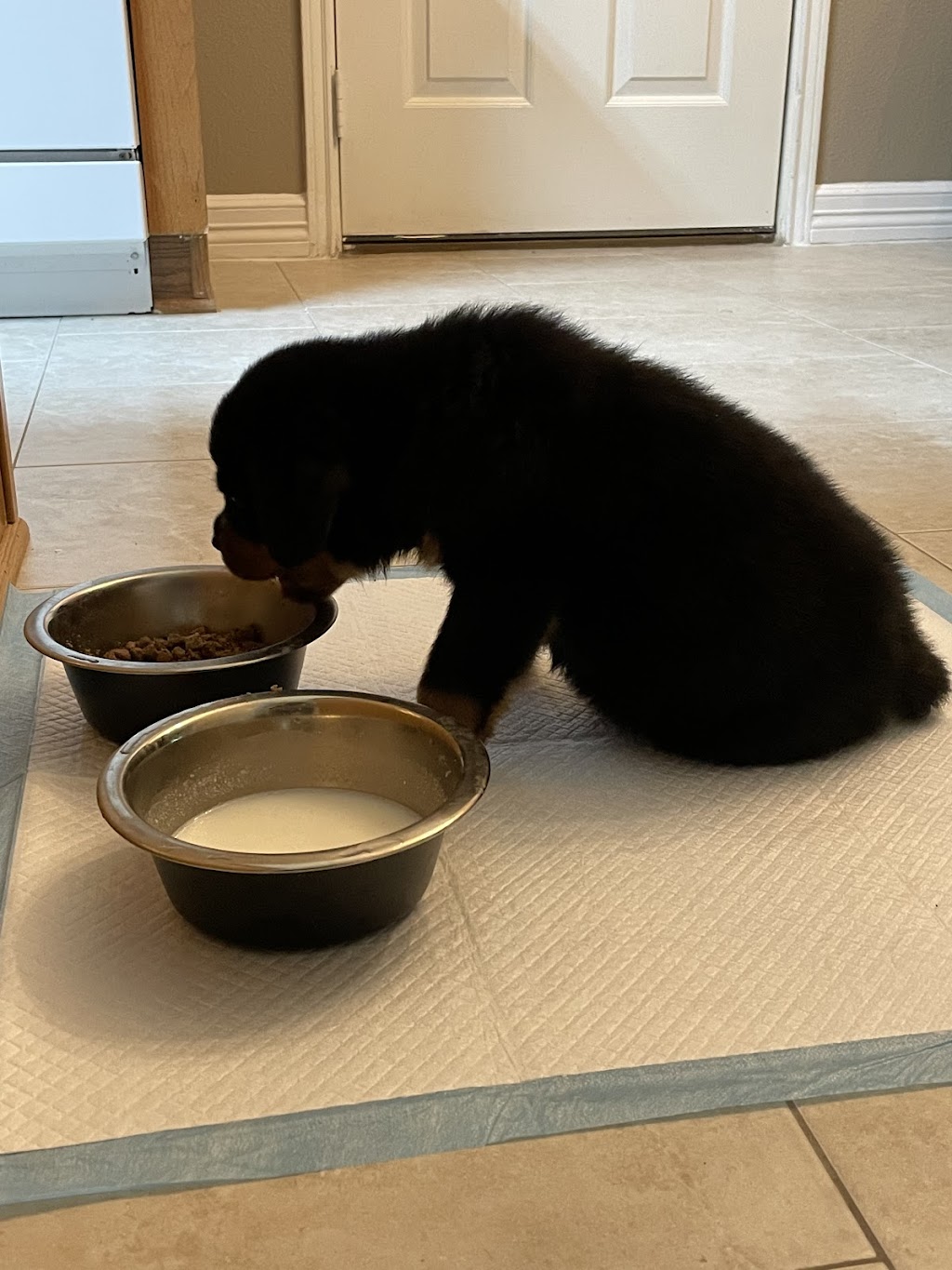 Muenster Milling Company, LLC | 202 S Main St, Muenster, TX 76252, USA | Phone: (940) 209-1206