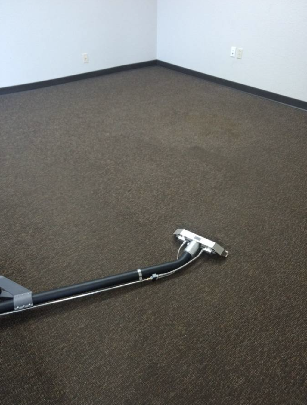 King Carpet Cleaning Oceanside | 3827 Mission Ave, Oceanside, CA 92058, USA | Phone: (858) 465-5122