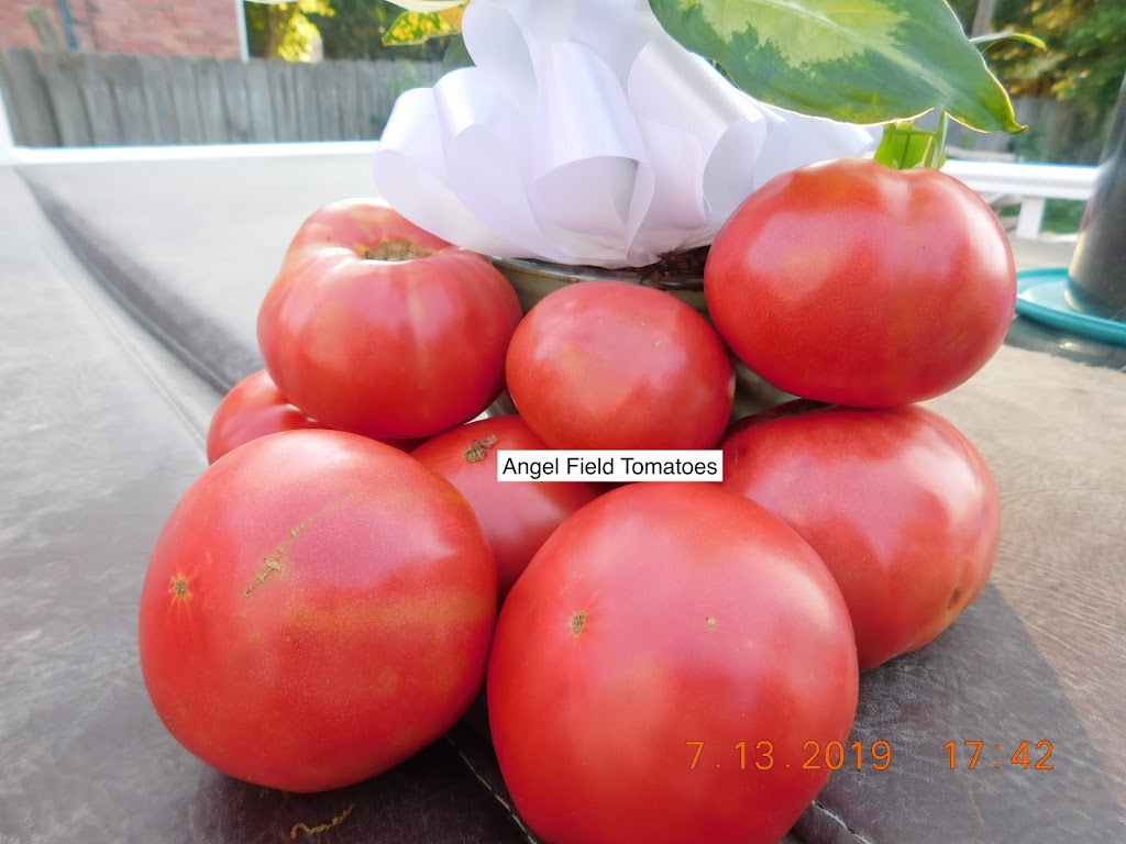 Angel Field Heirloom Tomatoes | 312 S Willard Ave, Hampton, VA 23663, USA | Phone: (757) 265-7784