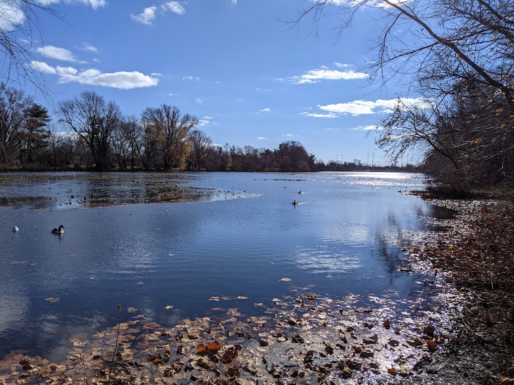 Silver Lake Nature Center | 1306 Bath Rd, Bristol, PA 19007, USA | Phone: (215) 785-1177