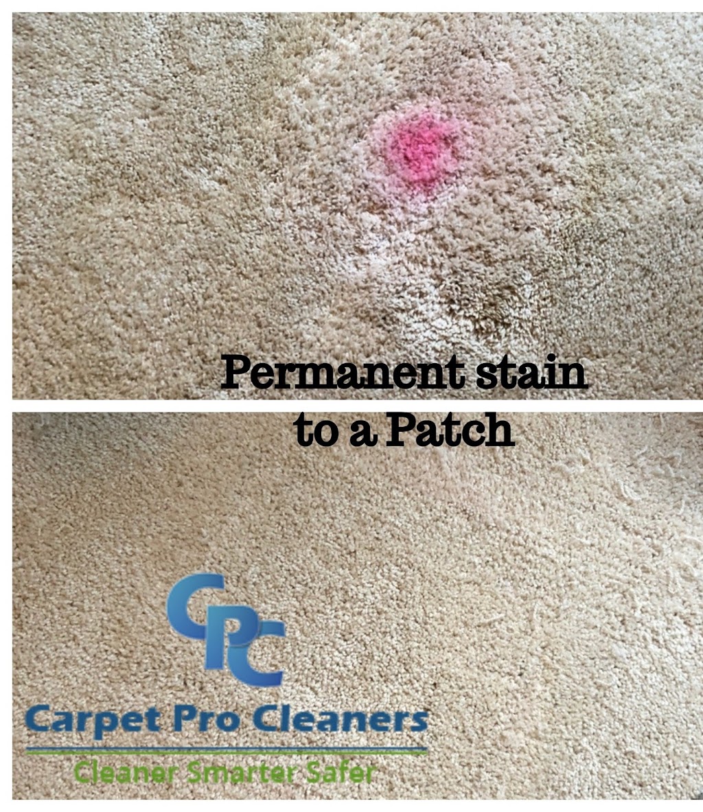 Carpet Pro Cleaners | 129 Creek Commons Ave, Garner, NC 27529 | Phone: (919) 376-6055