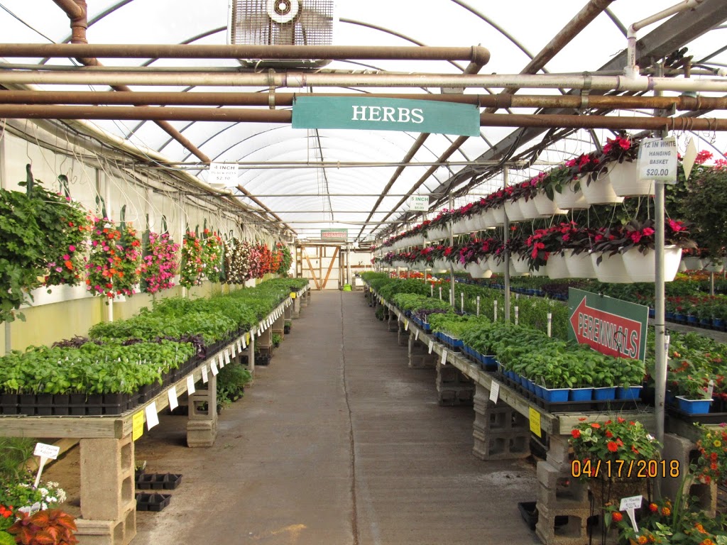 Wiethop Greenhouses | 2463 Barrett Station Rd, Ballwin, MO 63021 | Phone: (314) 821-2598