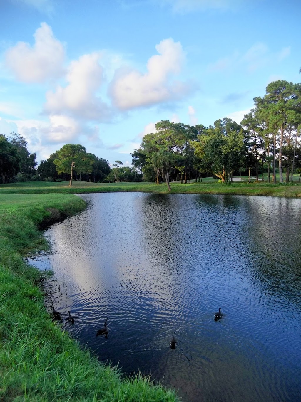 Innisbrook, A Salamander Golf and Spa Resort | 36750 US Hwy 19 N, Palm Harbor, FL 34684, USA | Phone: (727) 942-2000