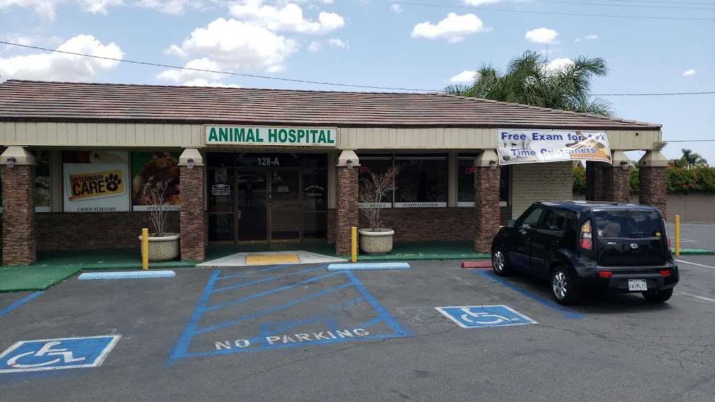 Riverdale Animal Hospital | 128 East Riverdale Ave, Orange, CA 92865, USA | Phone: (714) 998-9110