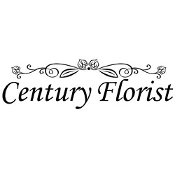 Century Florist | 9941 Pines Blvd, Pembroke Pines, FL 33024, United States | Phone: (954) 432-2300