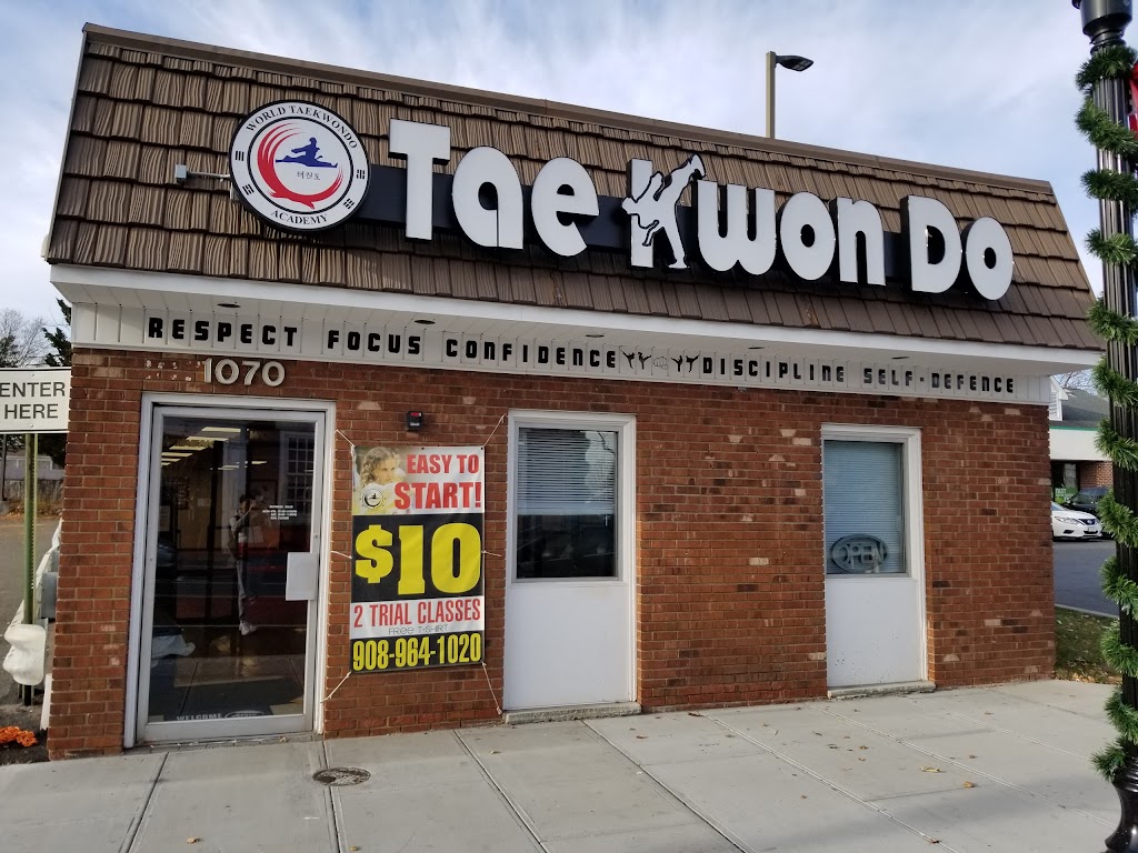 K.S. Tae Kwon Do Academy of Union | 1070 Stuyvesant Ave, Union, NJ 07083, USA | Phone: (908) 964-1020