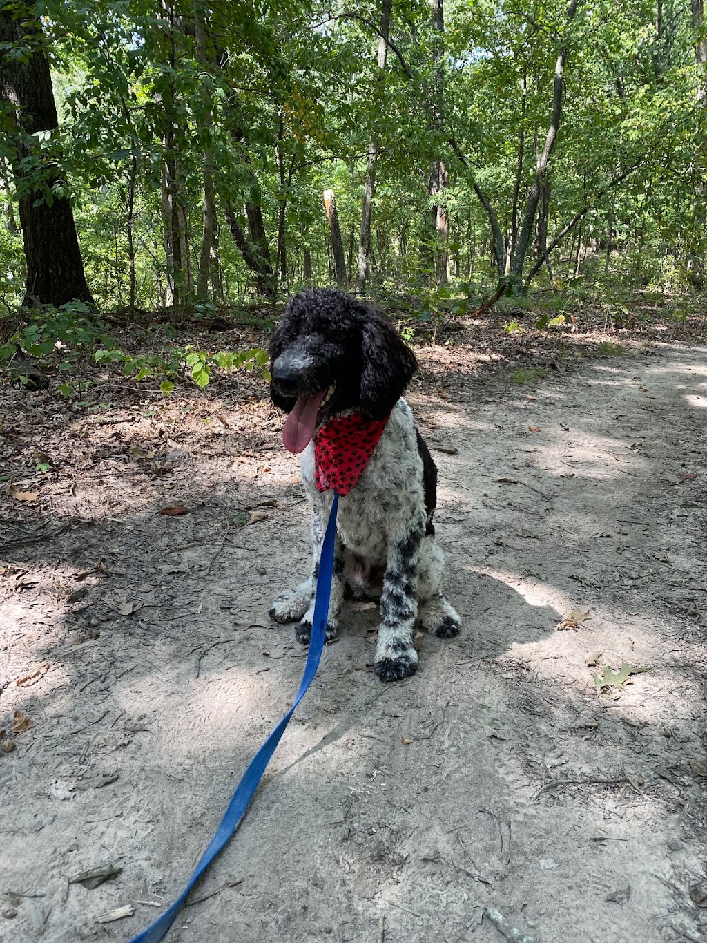 Fox Run Trailhead | S Old Fox Crk Rd, Wildwood, MO 63069, USA | Phone: (636) 458-2236