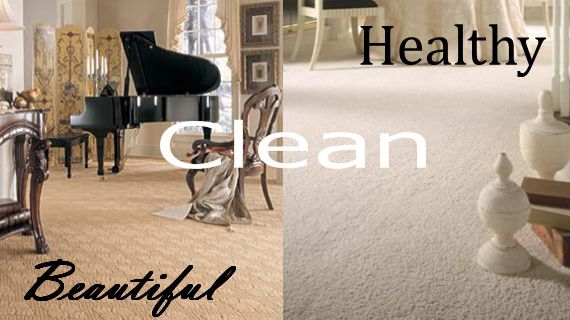 Smith Carpet Care LLC | 1122 Chateau Crossing Dr # 306, Fort Mill, SC 29715, USA | Phone: (803) 216-1149