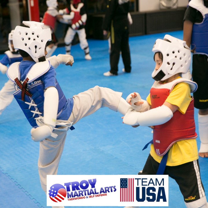 TROY MARTIAL ARTS | 1881 W South Blvd, Troy, MI 48098, USA | Phone: (248) 828-4360