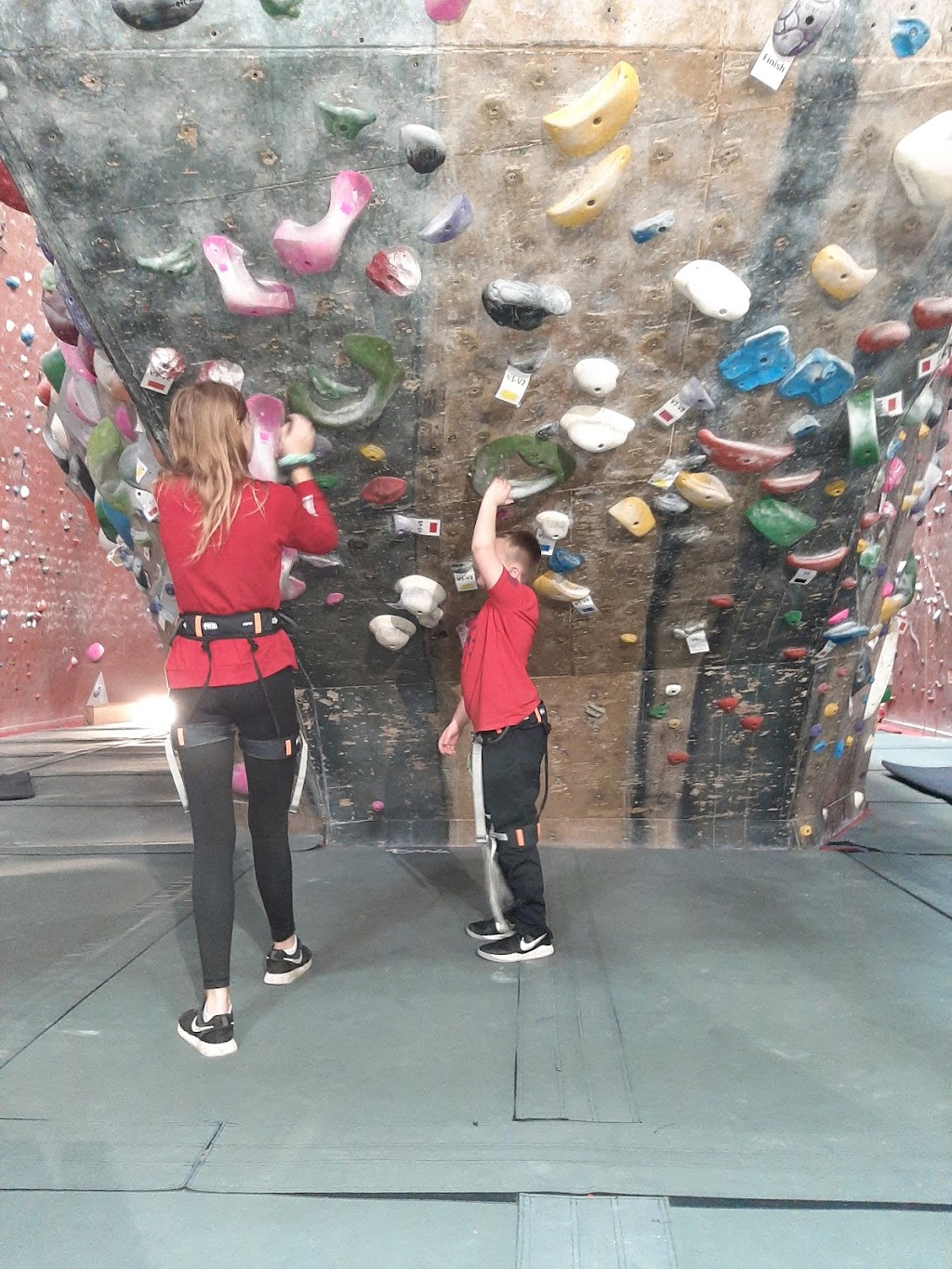 RockQuest Climbing Center | 3475 E Kemper Rd, Cincinnati, OH 45241 | Phone: (513) 733-0123