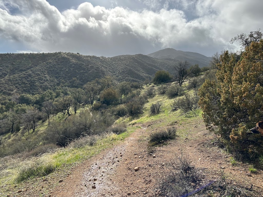 Aliso Park Campground | Aliso Park Rd, New Cuyama, CA 93254, USA | Phone: (661) 245-3731 ext. 0