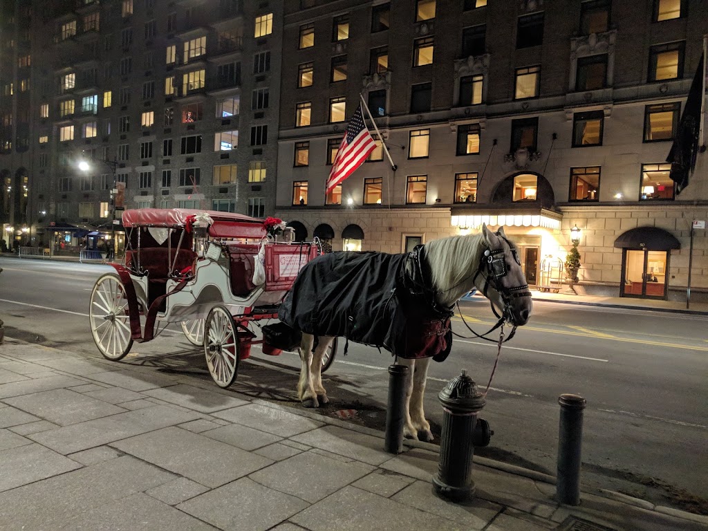 CENTRALPARKHORSES | 7TH AVE &, Central Park S, New York, NY 10019, USA | Phone: (212) 470-7893