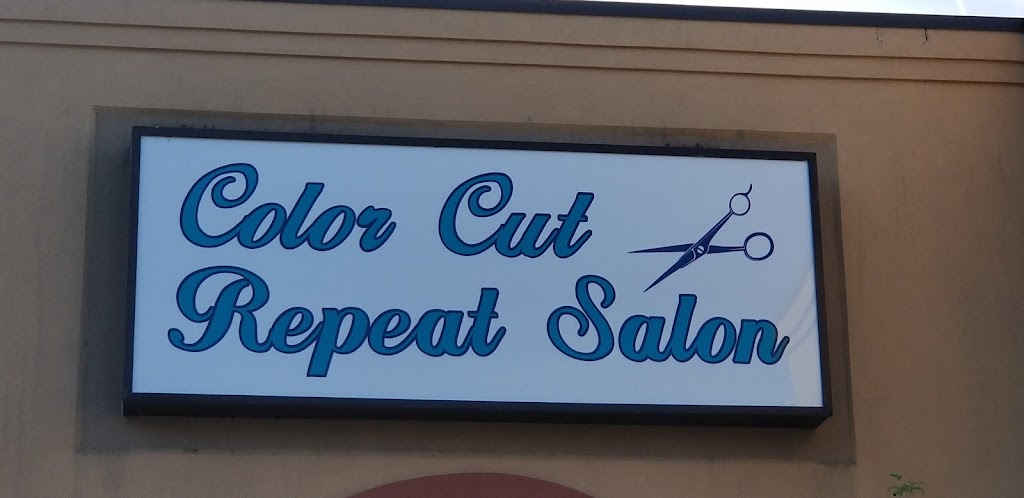 Color Cut Repeat Salon | 624 Independence Blvd #102, Virginia Beach, VA 23462, USA | Phone: (757) 635-2776