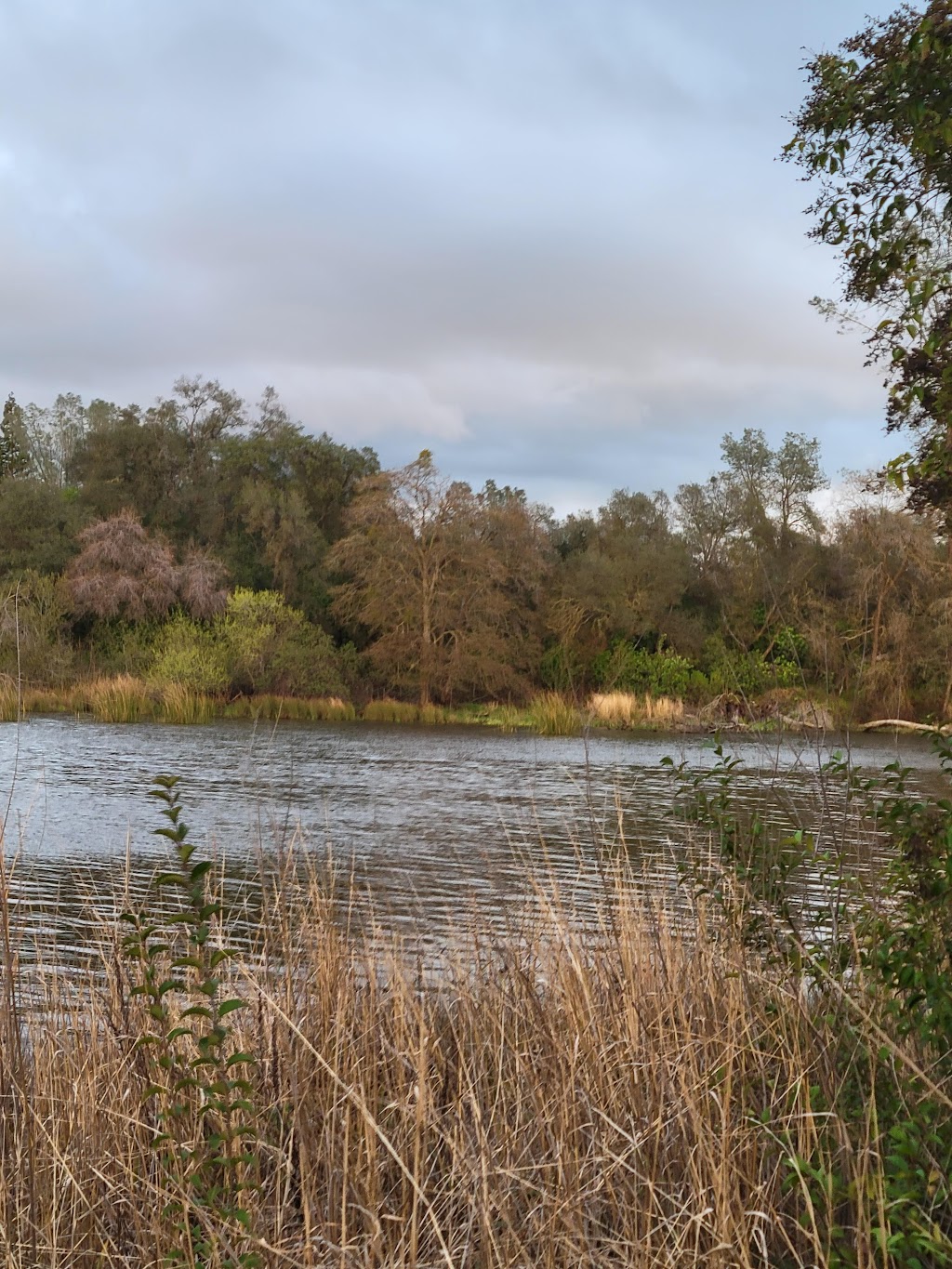 Willow Creek Recreation Area | Folsom, CA 95630, USA | Phone: (916) 988-0205