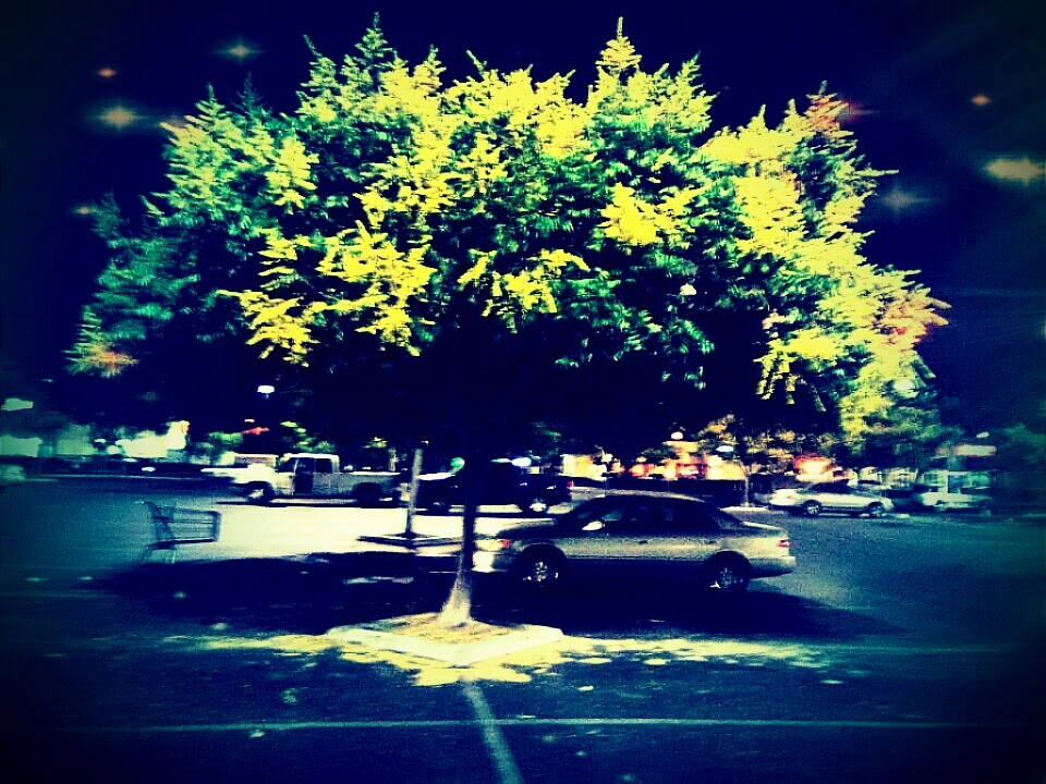 Lowes Garden Center | 8600 Washington Blvd, Pico Rivera, CA 90660, USA | Phone: (562) 942-9909