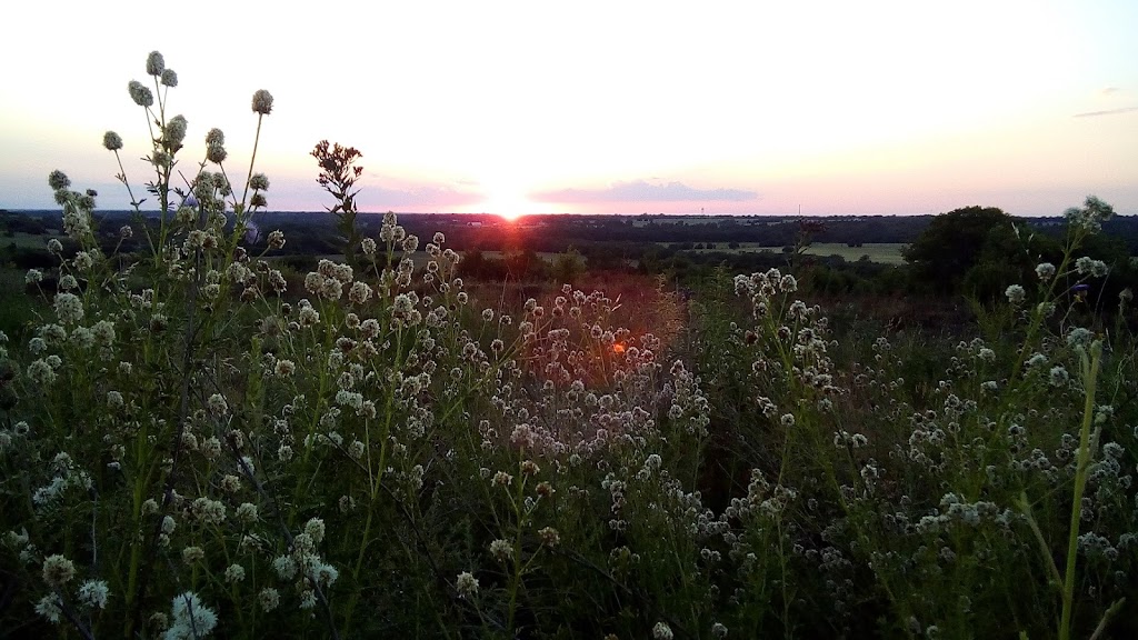 The High Point Park & Wildflower Preserve | 2233 Old Josephine Rd, Farmersville, TX 75442, USA | Phone: (972) 832-6565