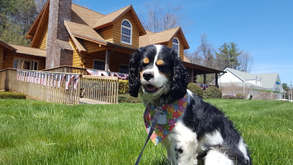 Northeastern Log Homes | 1126 Southampton Rd, Westfield, MA 01085, USA | Phone: (413) 562-7000