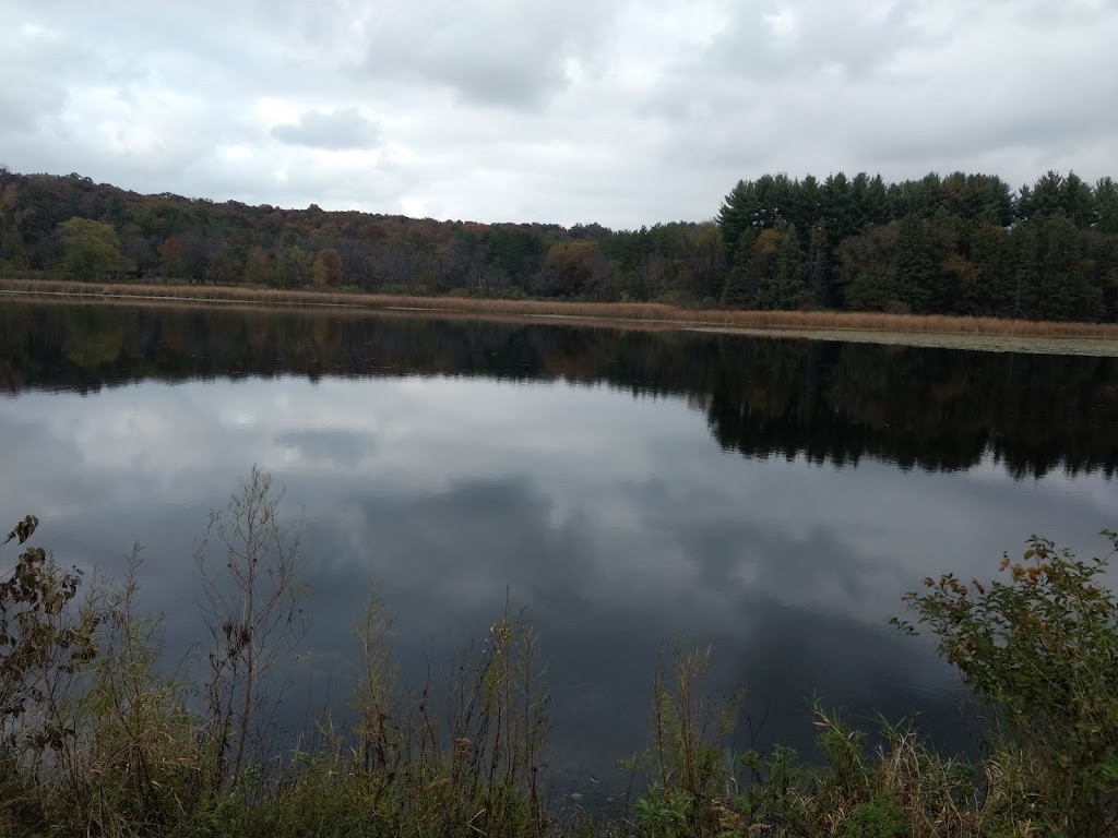 Cadiz Springs State Recreation Area | N2241 Cadiz Springs Rd, Browntown, WI 53522, USA | Phone: (608) 966-3777