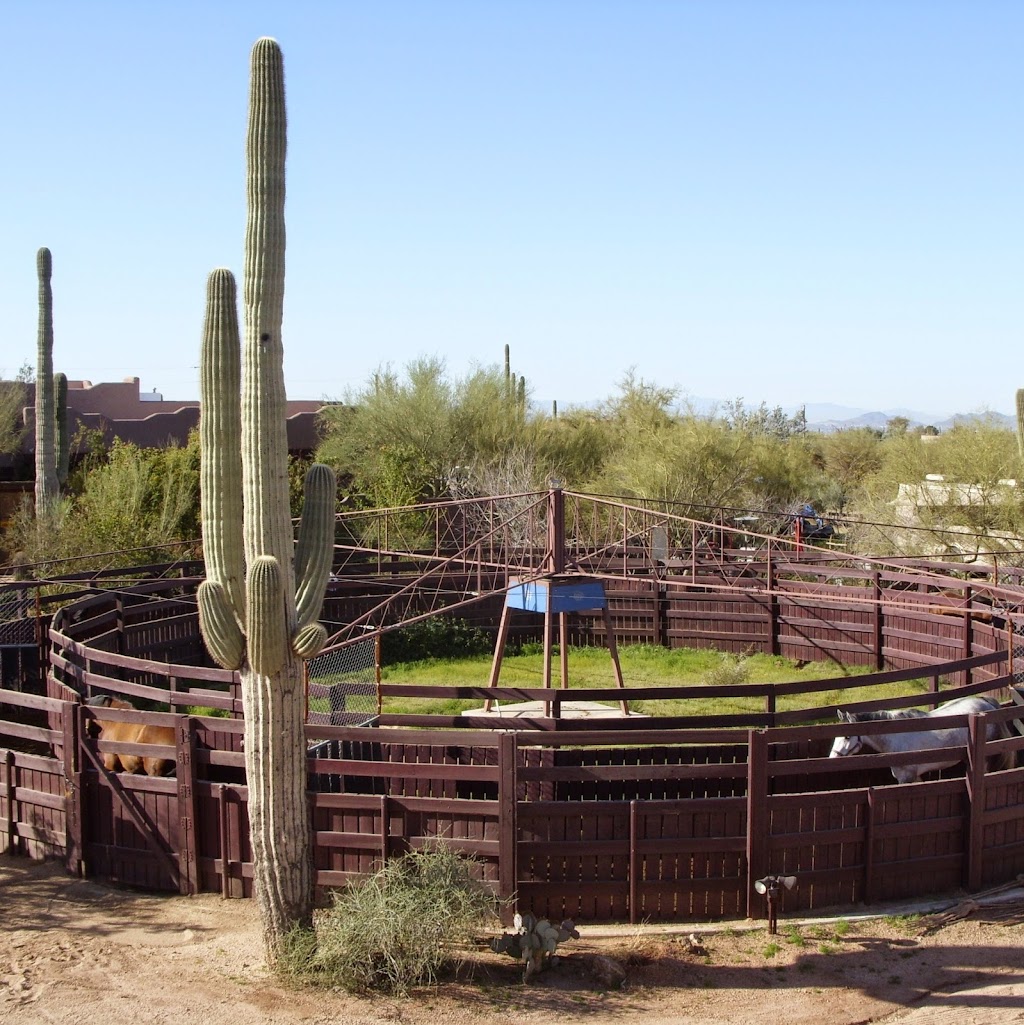 Twisted Tree Farm, Inc, Training Stables | 29001 N Hayden Rd, Scottsdale, AZ 85266, USA | Phone: (480) 860-8215