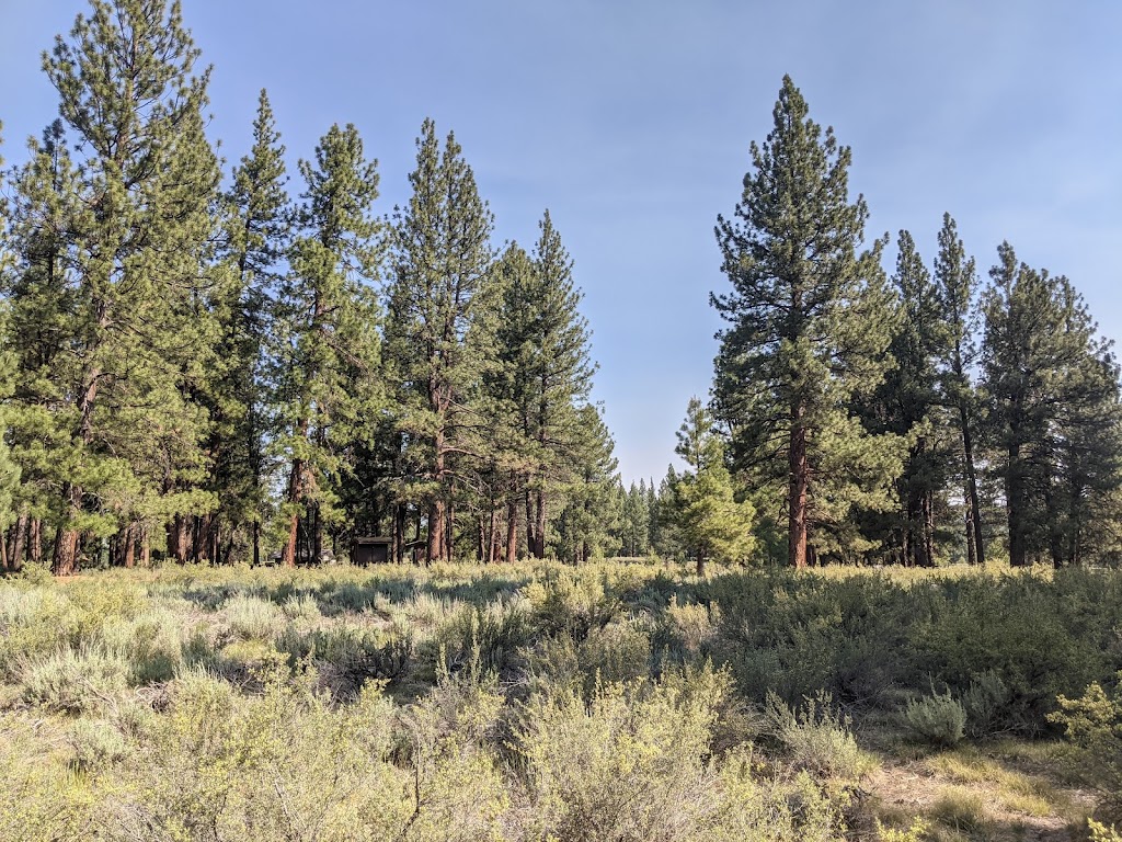 Martis Creek Campground | Alpine Meadow Camp, Truckee, CA 96161, USA | Phone: (530) 587-8113