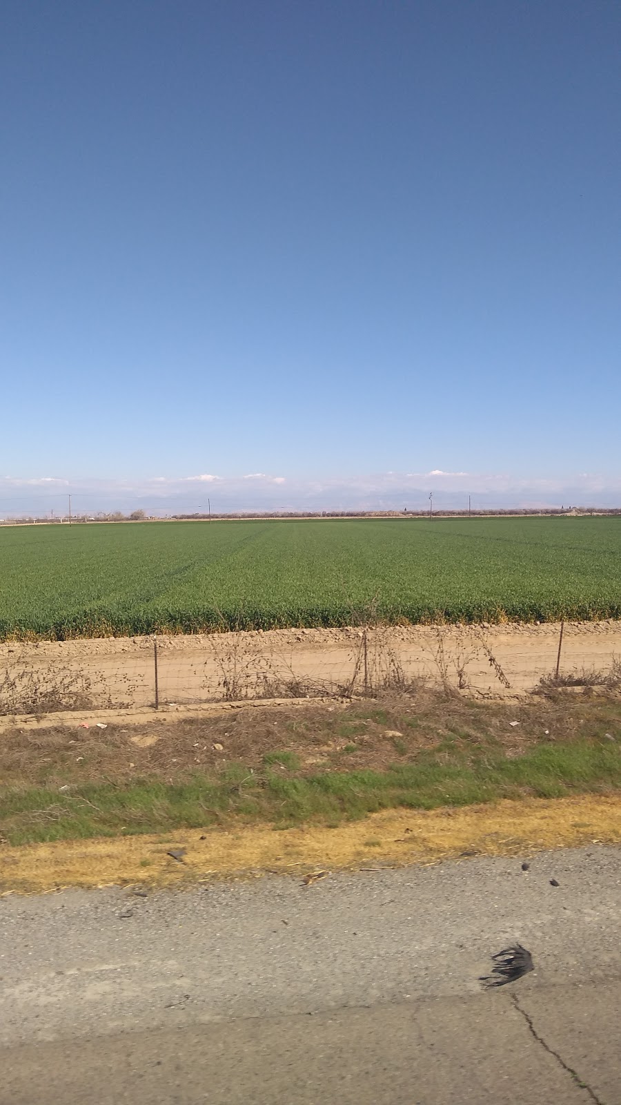 Crop Production Services Inc | 12817 Rd 120, Tipton, CA 93272, USA | Phone: (559) 752-4268
