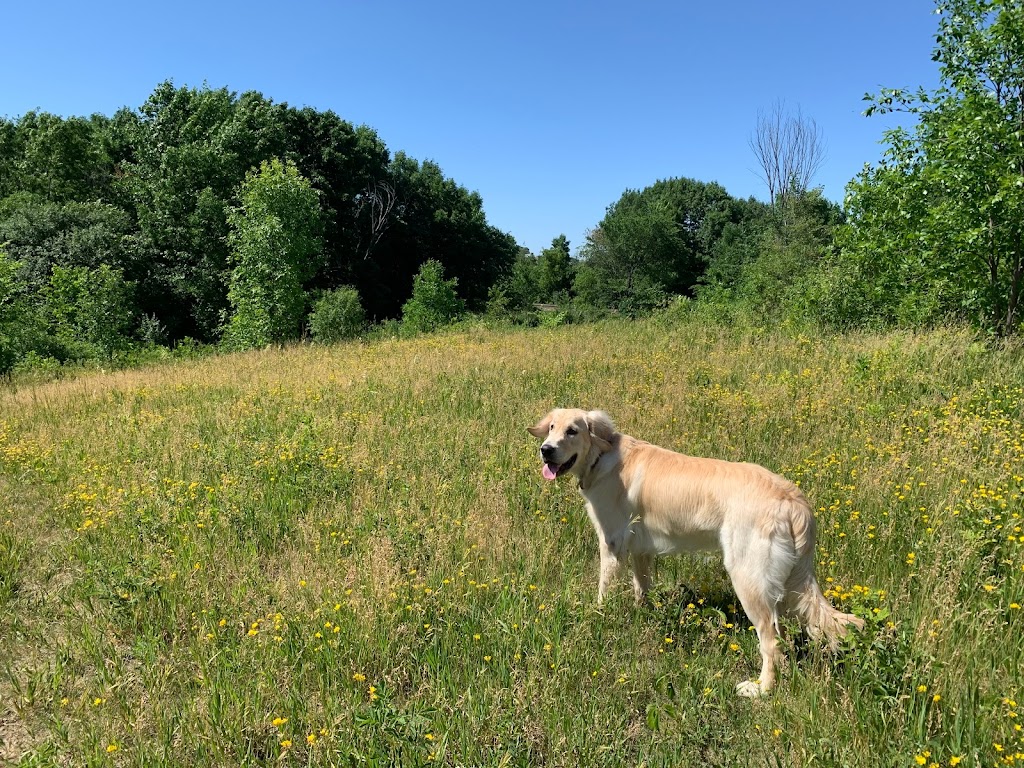 Lake Sarah Dog Park | 6670 W Lake Sarah Dr, Rockford, MN 55373, USA | Phone: (763) 694-7860