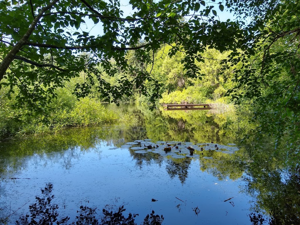 West Hylebos Wetlands Park | 411 S 348th St, Federal Way, WA 98003, USA | Phone: (253) 835-6901