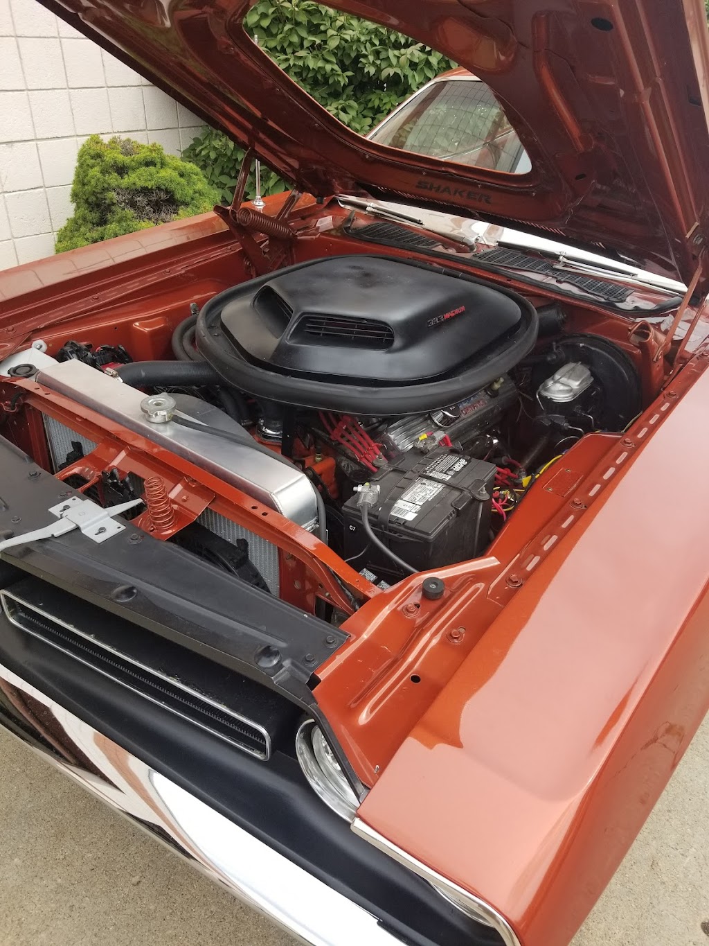 Mitten Automotive | 12331 Stark Rd, Livonia, MI 48150, USA | Phone: (734) 855-4244