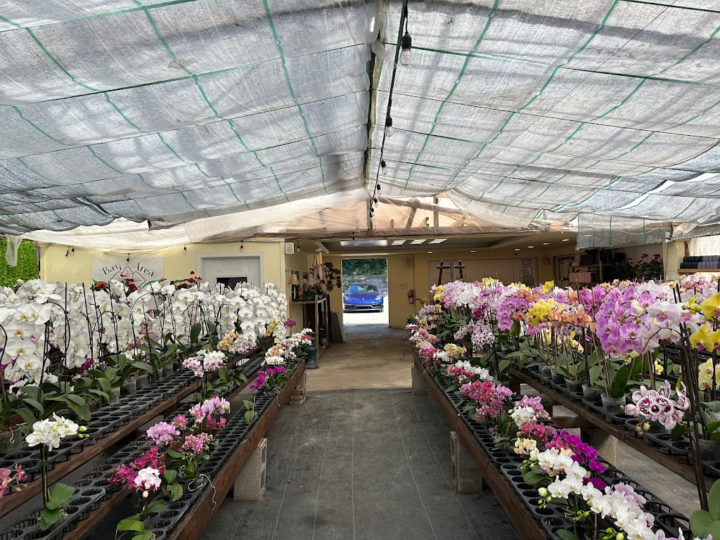 Bay Area Orchids | 12511 San Mateo Rd, Half Moon Bay, CA 94019, USA | Phone: (650) 922-4975
