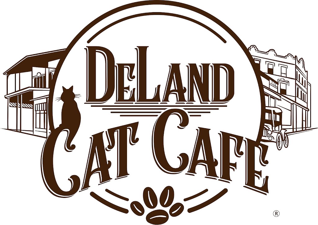 DeLand Cat Cafe | 844 E New York Ave Unit B, DeLand, FL 32724, USA | Phone: (386) 222-3982