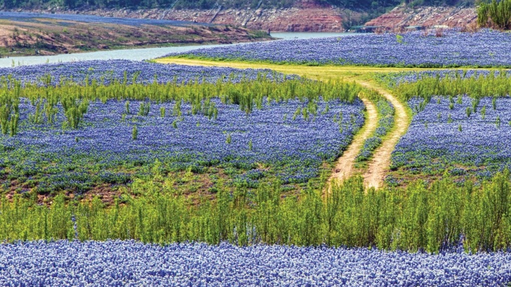 Muleshoe Bend Recreation Area | 2820 Co Rd 414, Spicewood, TX 78669, USA | Phone: (512) 473-3366