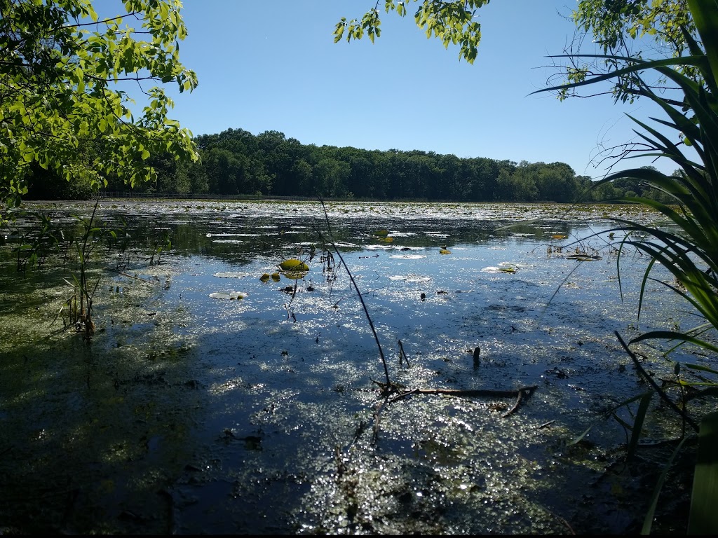 Maplewood Nature Center | 2659 E 7th St, Maplewood, MN 55119 | Phone: (651) 249-2170