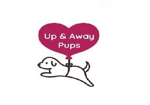 Up & Away Pups | 1574 OH-39, Sugarcreek, OH 44681, United States | Phone: (336) 915-2510