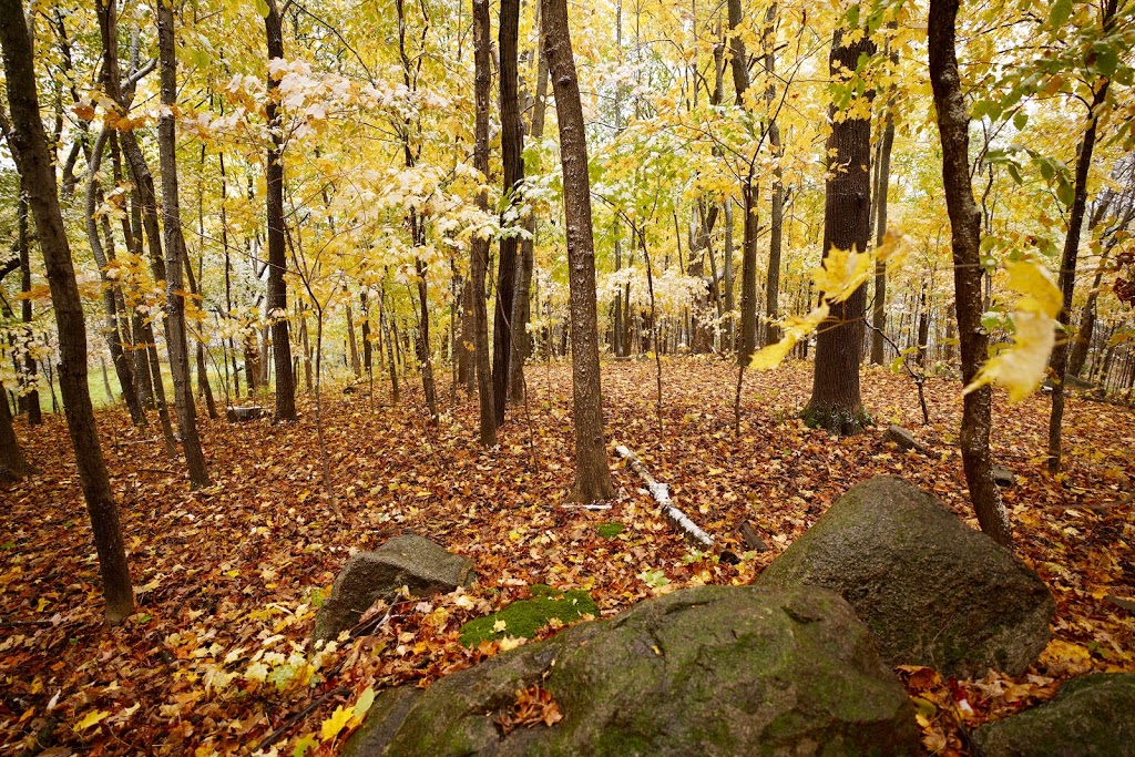 Cleary Lake Regional Park | 18106 Texas Ave, Prior Lake, MN 55372, USA | Phone: (763) 694-7777