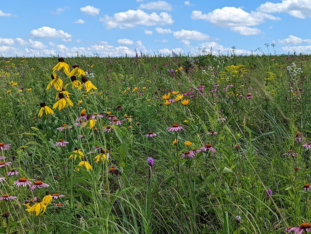 Madison Audubons Goose Pond Sanctuary | Goose Pond Rd, Arlington, WI 53911, USA | Phone: (608) 255-2473