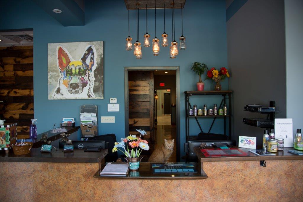 Harmony Animal Hospital | 4280 Hickory Flat Hwy #112, Canton, GA 30115, USA | Phone: (770) 213-3551