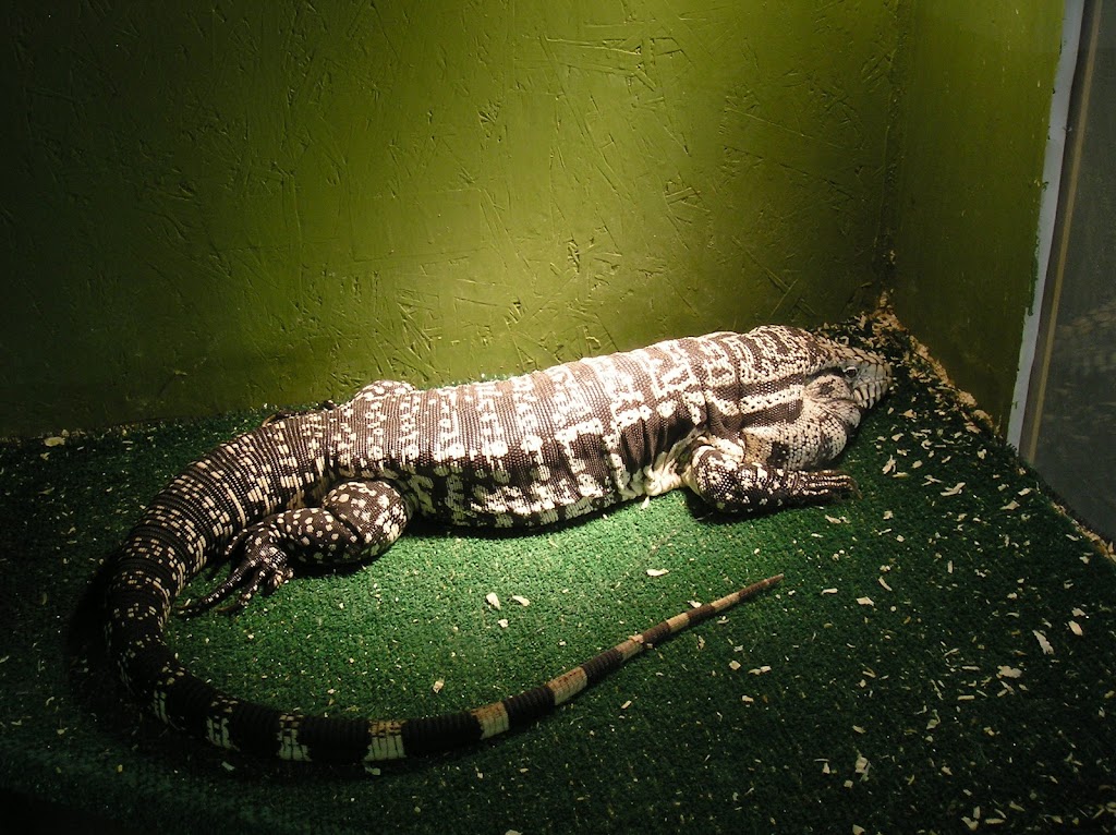 Reptile Zoo | 22715 US-2, Monroe, WA 98272 | Phone: (360) 805-5300